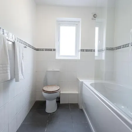 October Disc - Long - Contractors - Frances Mews