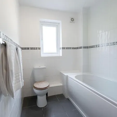 October Disc - Long - Contractors - Frances Mews