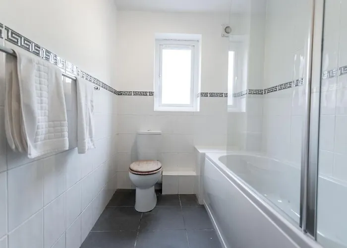 October Disc - Long - Contractors - Frances Mews