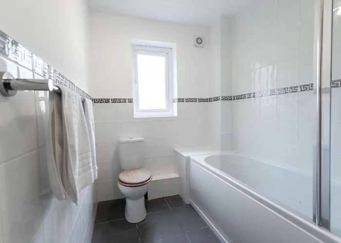 October Disc - Long - Contractors - Frances Mews